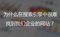 网站搜不到