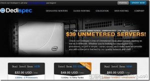 Dedispec：$39/月-Dual Xeon L5630/48GB/2TB/100M无限 西弗吉尼亚