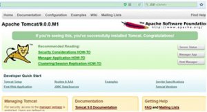 Tomcat (8.5/9) 环境安装ssl证书步骤